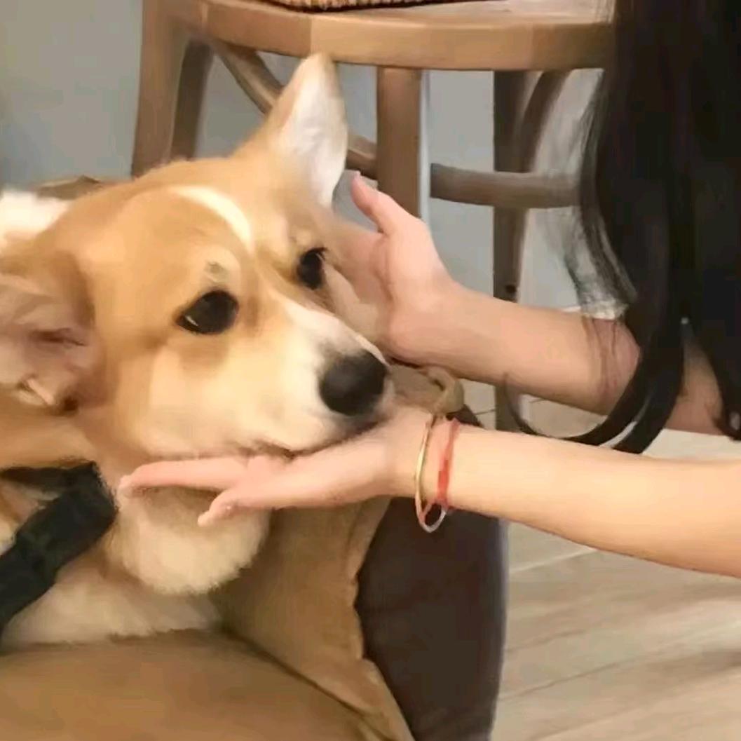 私甘い