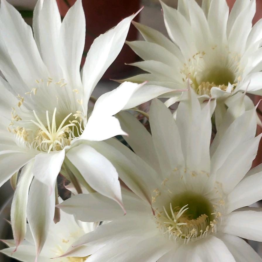 风光无限好还未到黄昏