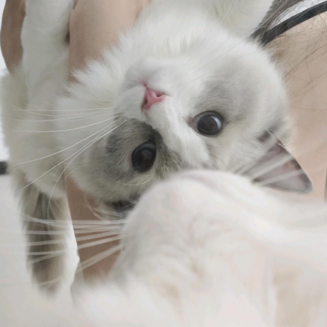 🌈张有钱💜