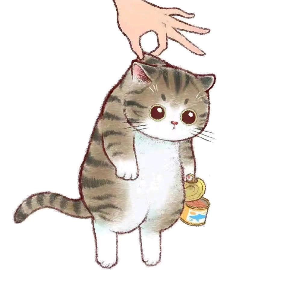 快乐一天