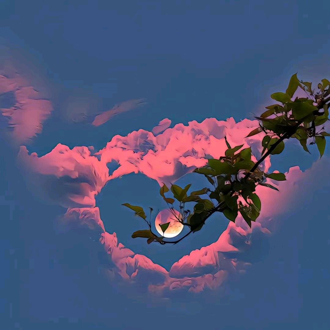 见你，不远万里