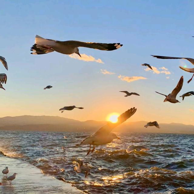 没人的时候社恐