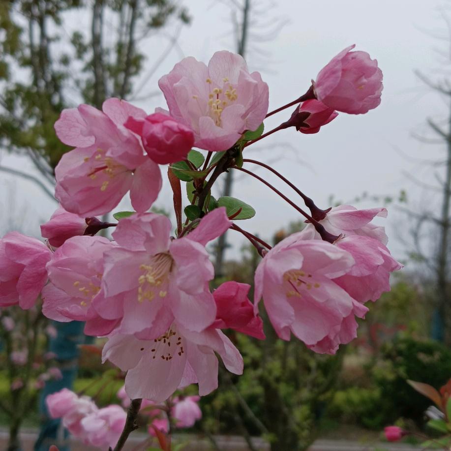 随♞心༒所༆欲