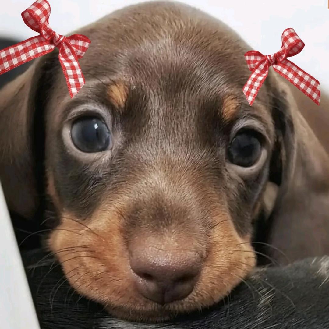 一名路过的小学生