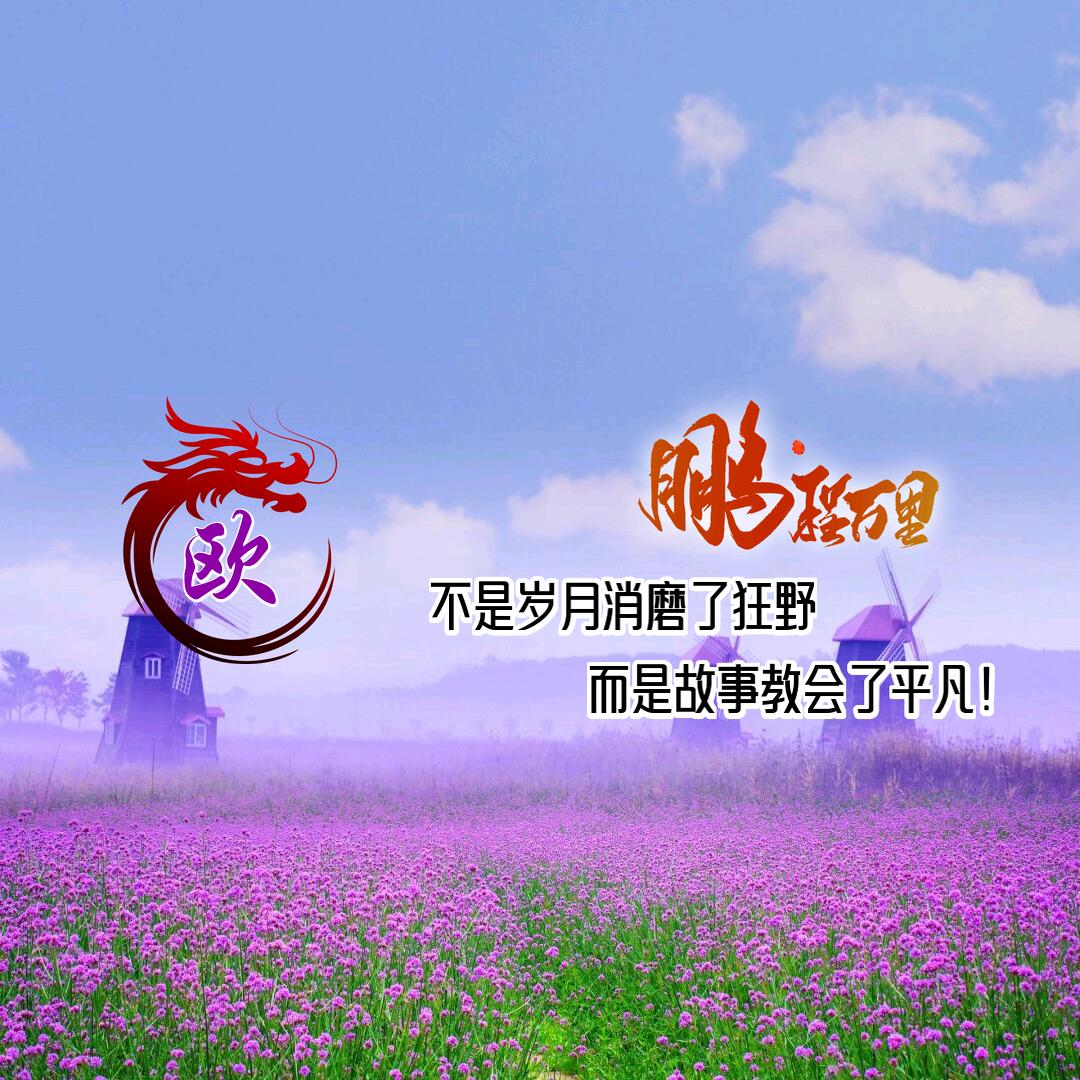 ℋღ᭄追逐🍒明天💞