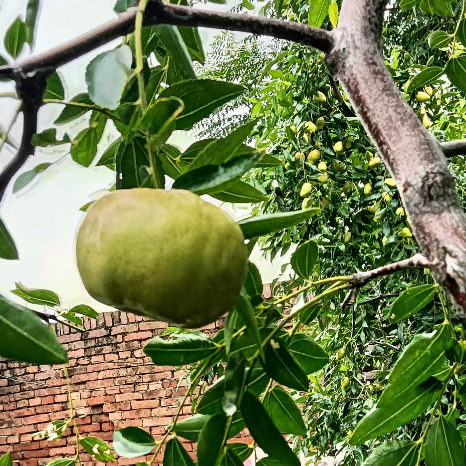 好人好梦