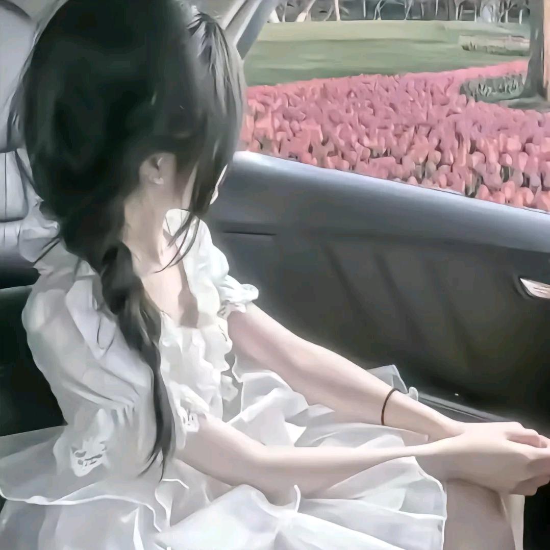 【反对雪月阁】沈念安