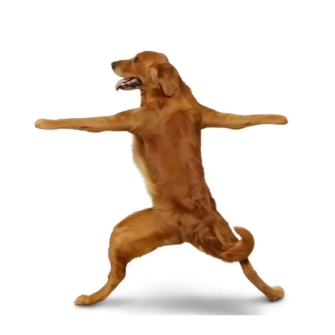 愤怒的土豆地雷炸弹