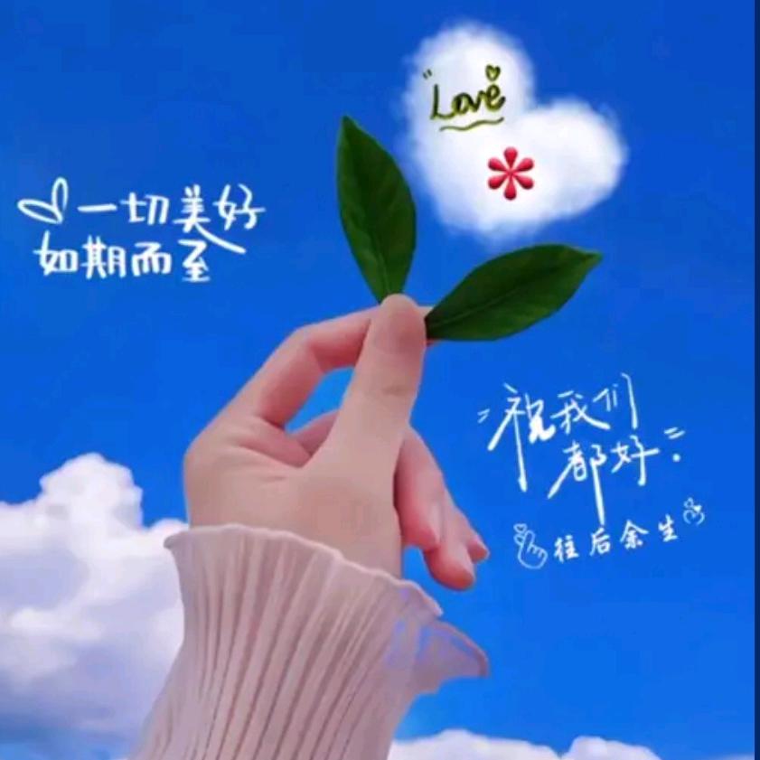 南柯一梦﹫