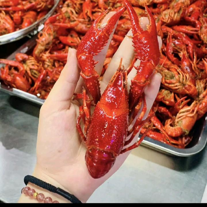 重生之我在陆川卖小龙虾