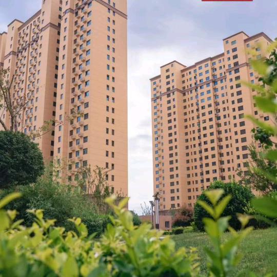 恋家🏭依芹
