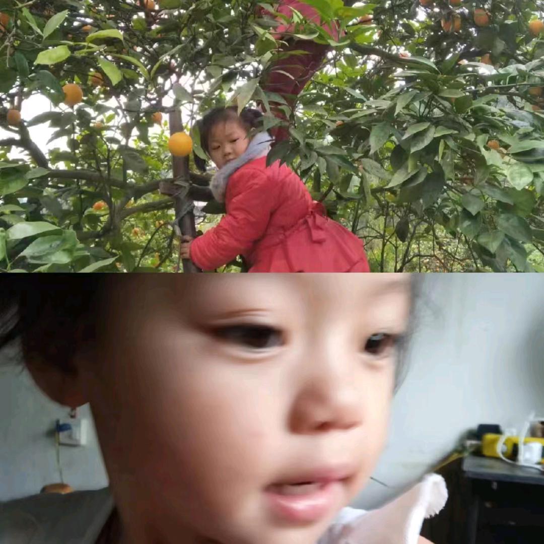 吕燕辉