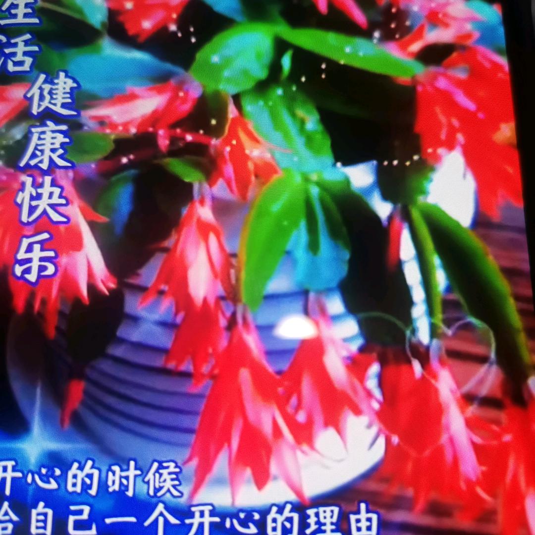 缘份星空