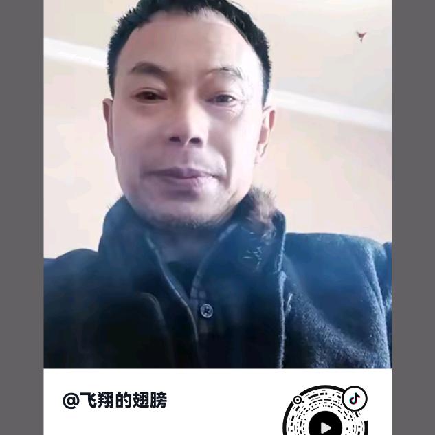 飞翔的翅膀