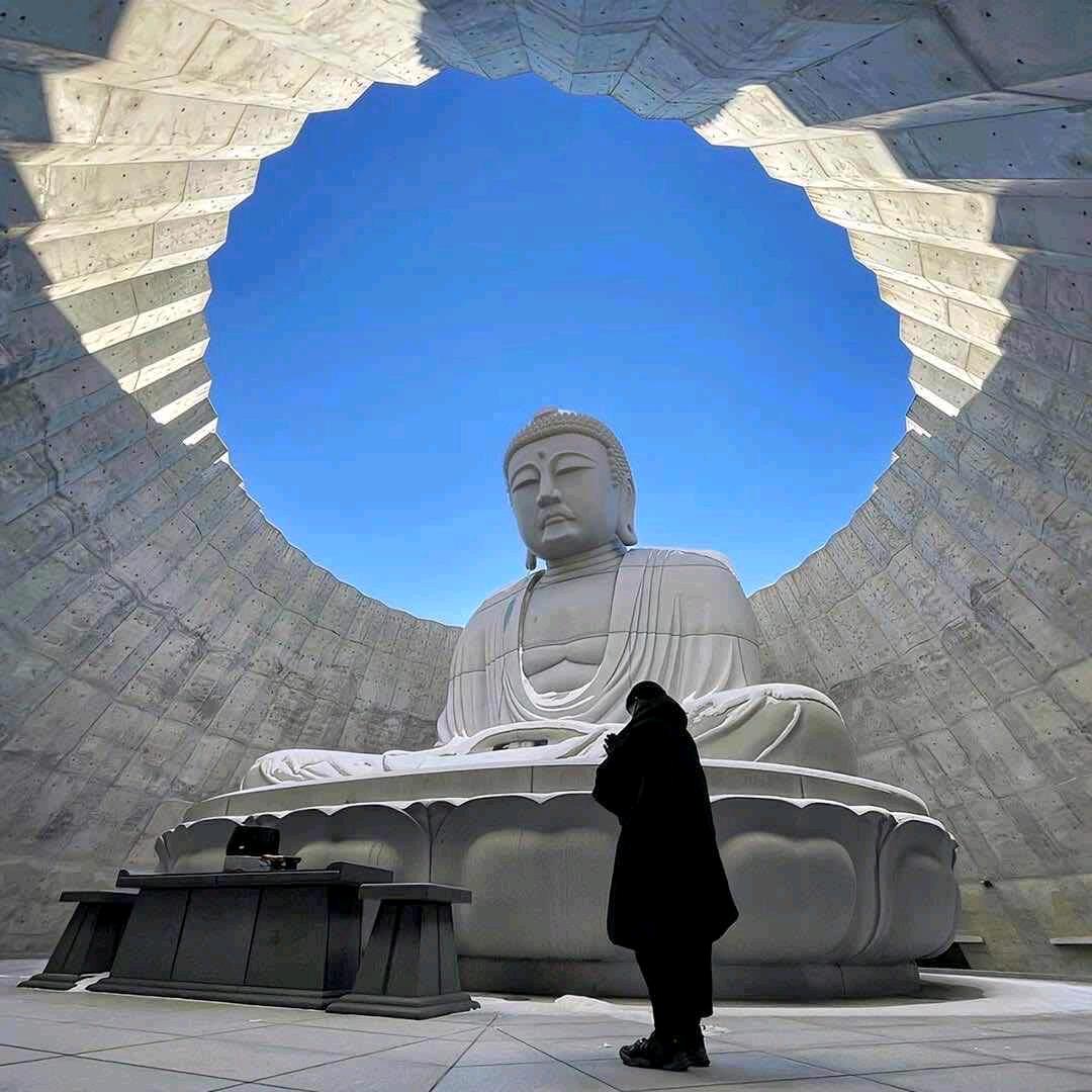 李燊