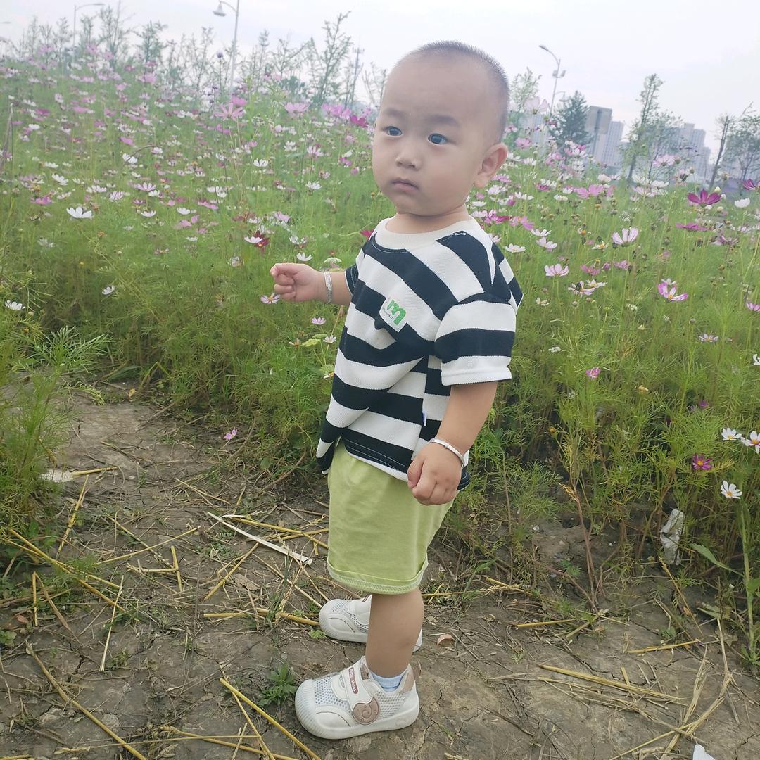 台州市晨凯机械租赁服务公司