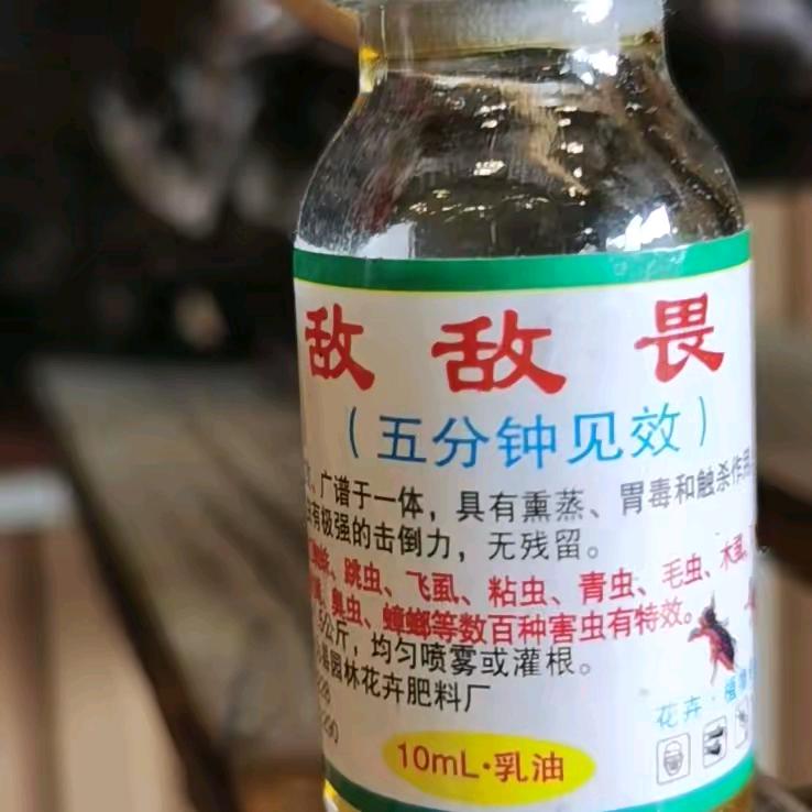 张🍎彩🍎文🍎的🍎老🍎公🍎在?
