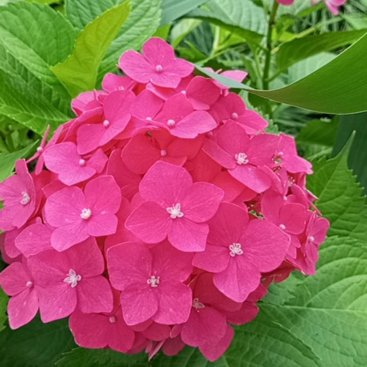 用户6756474210201