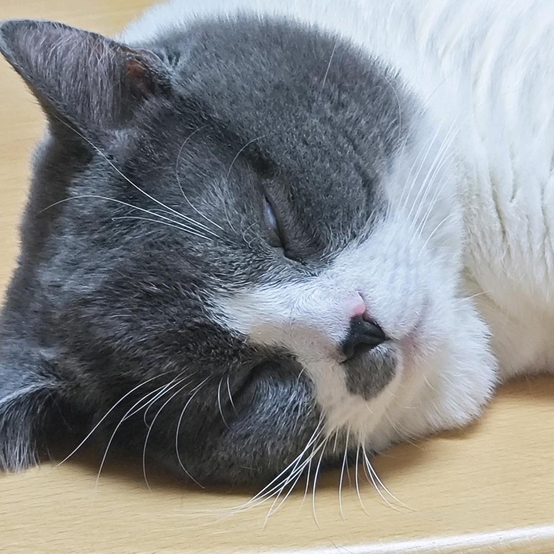 小飞可儿@三角洲