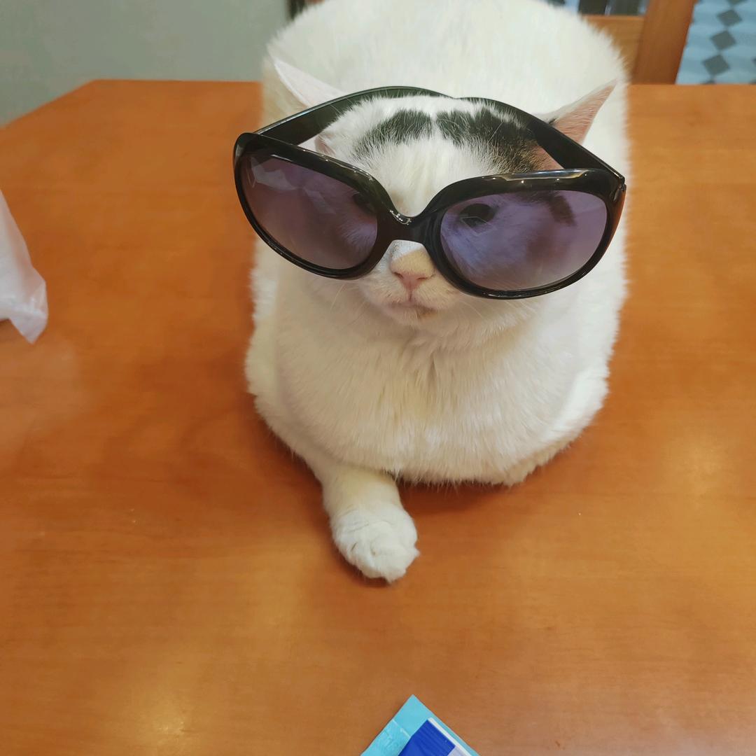 往前看往前走！