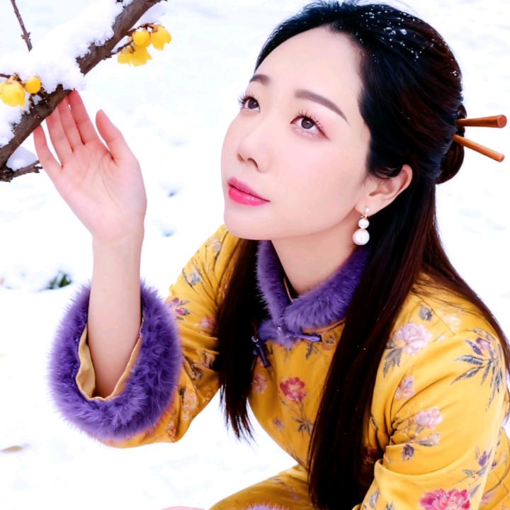 ꧁꫞꯭鸽子情缘꯭꫞꧂