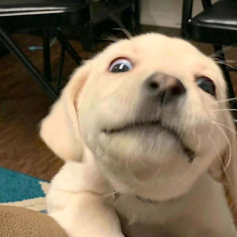 𒐫𒐫꧅𒐫𒐫꫞𒐫𒐫﷽𒐫𒐫꧂