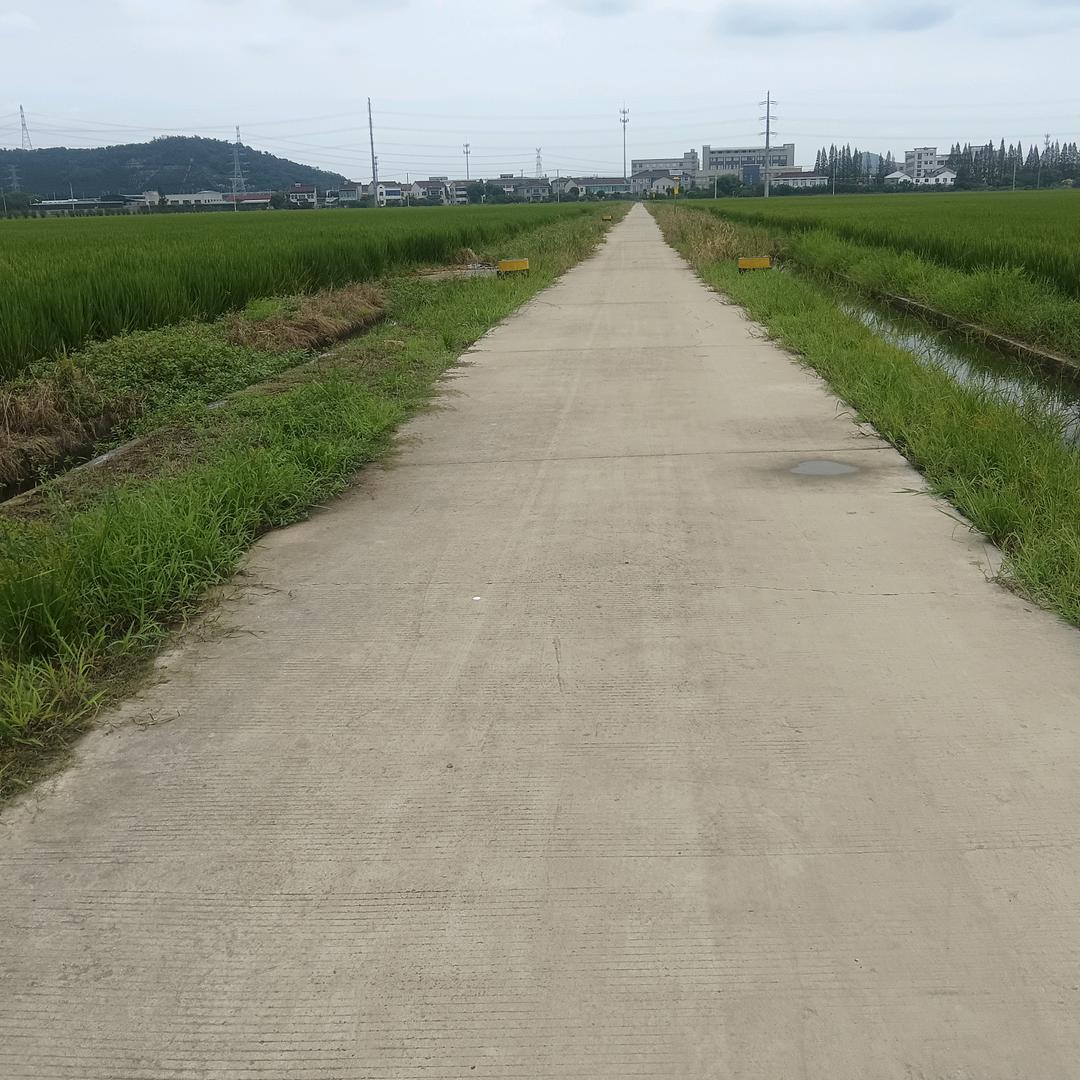 今生今世