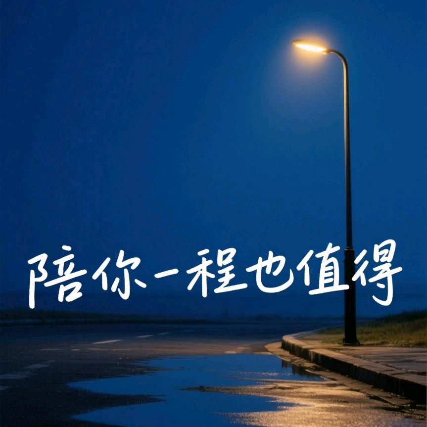 陪你一程也值得