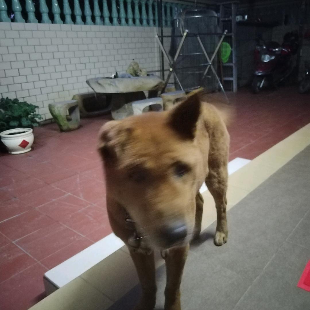 地铁逃生航小心！