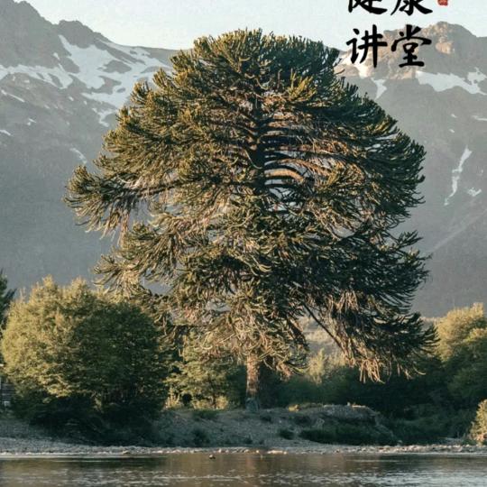 坐着公交过钟楼