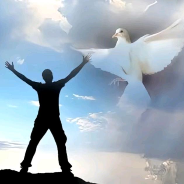 ℳ̶̶̶̶♡̶҉一个人的🚬江湖🍷ℳᥫ