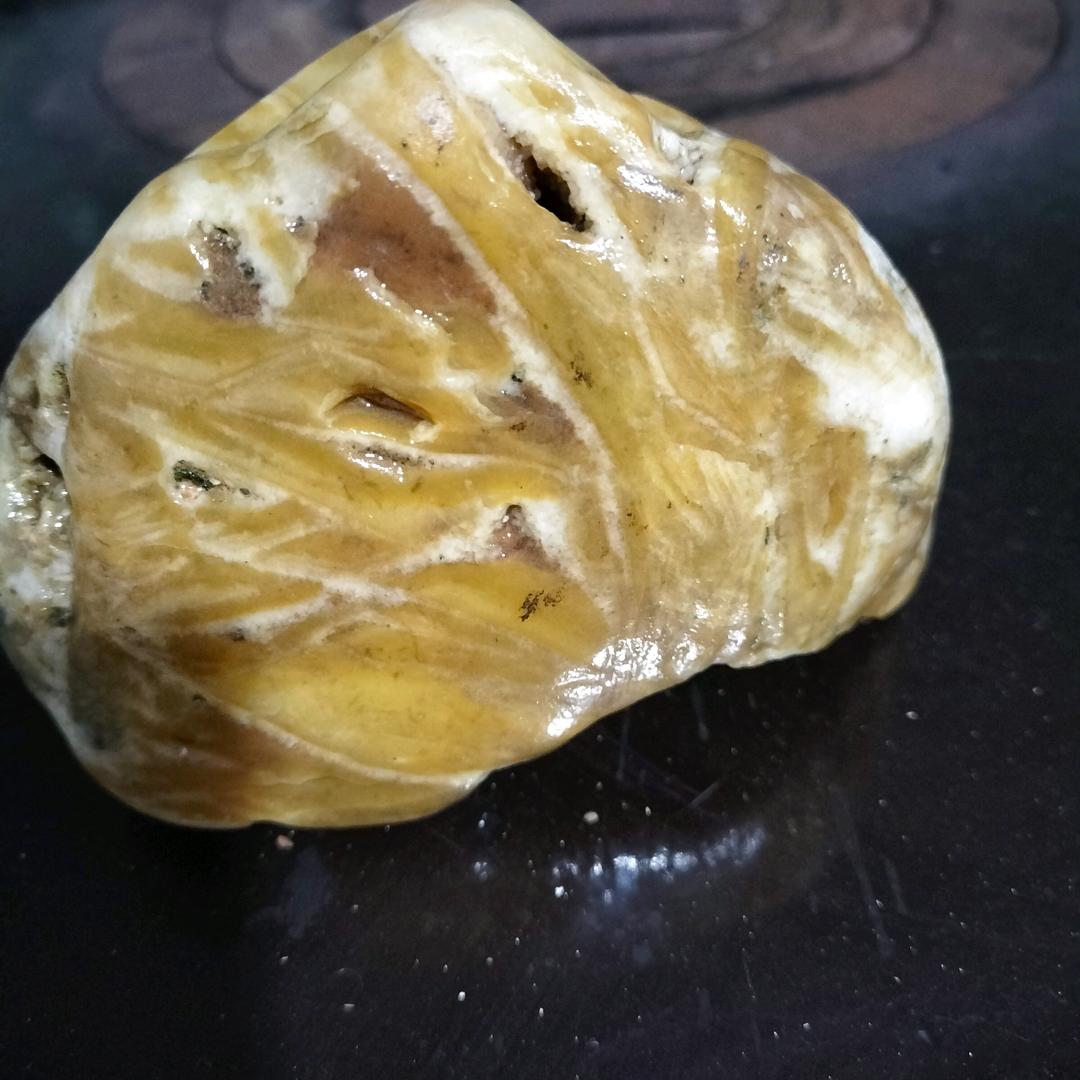 沙漠厚脸皮