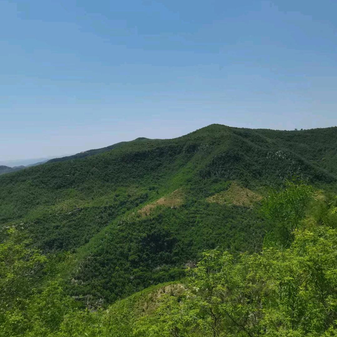 我的小九