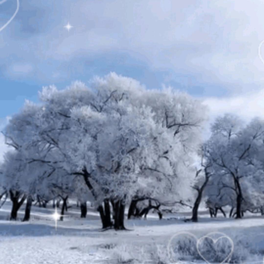 单身一人闯天涯