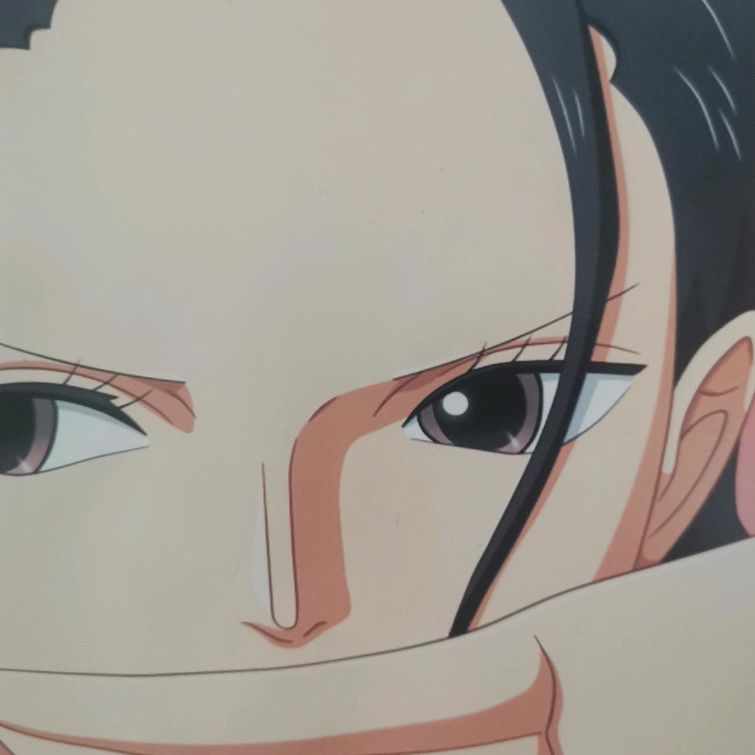 灿烂人生H