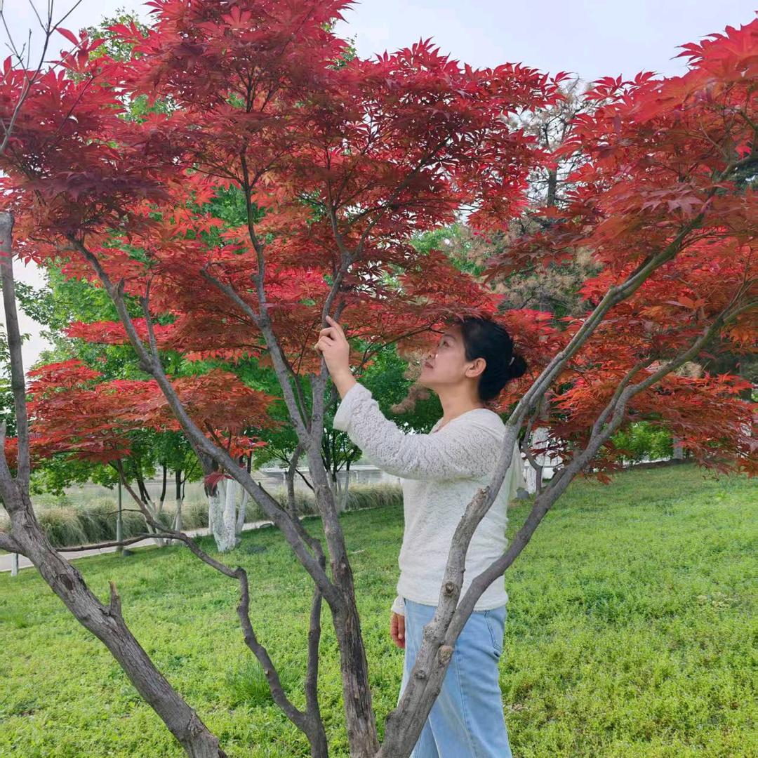 潘芳