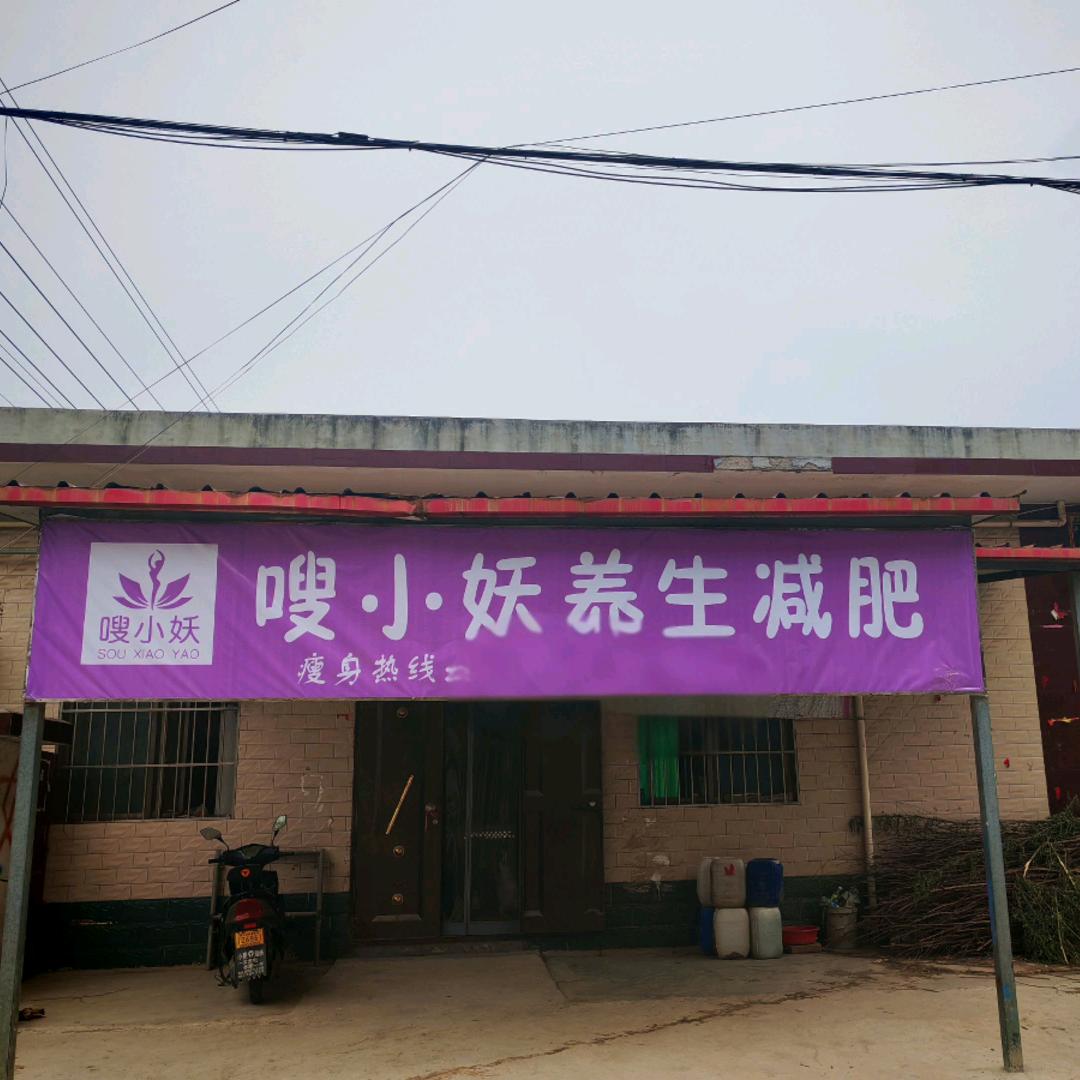 辛杨嗖小妖减肥养生馆