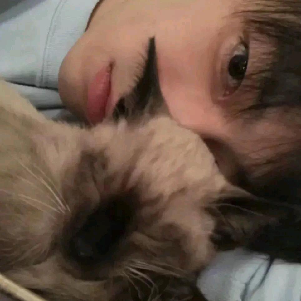 重生归来之我是逆子