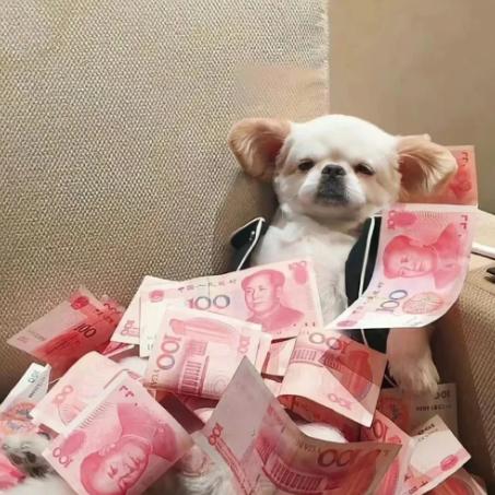 没有营养的人