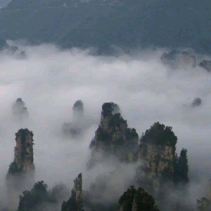 掌神圣府灵府灵