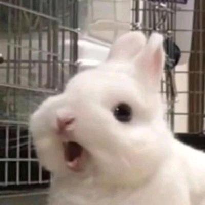狸嗔