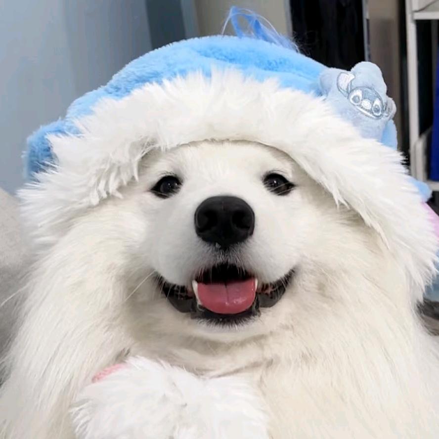 小蓝爱耶耶