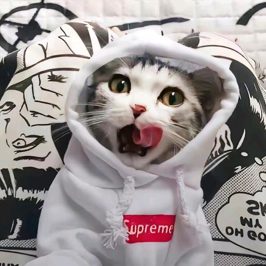 顽皮