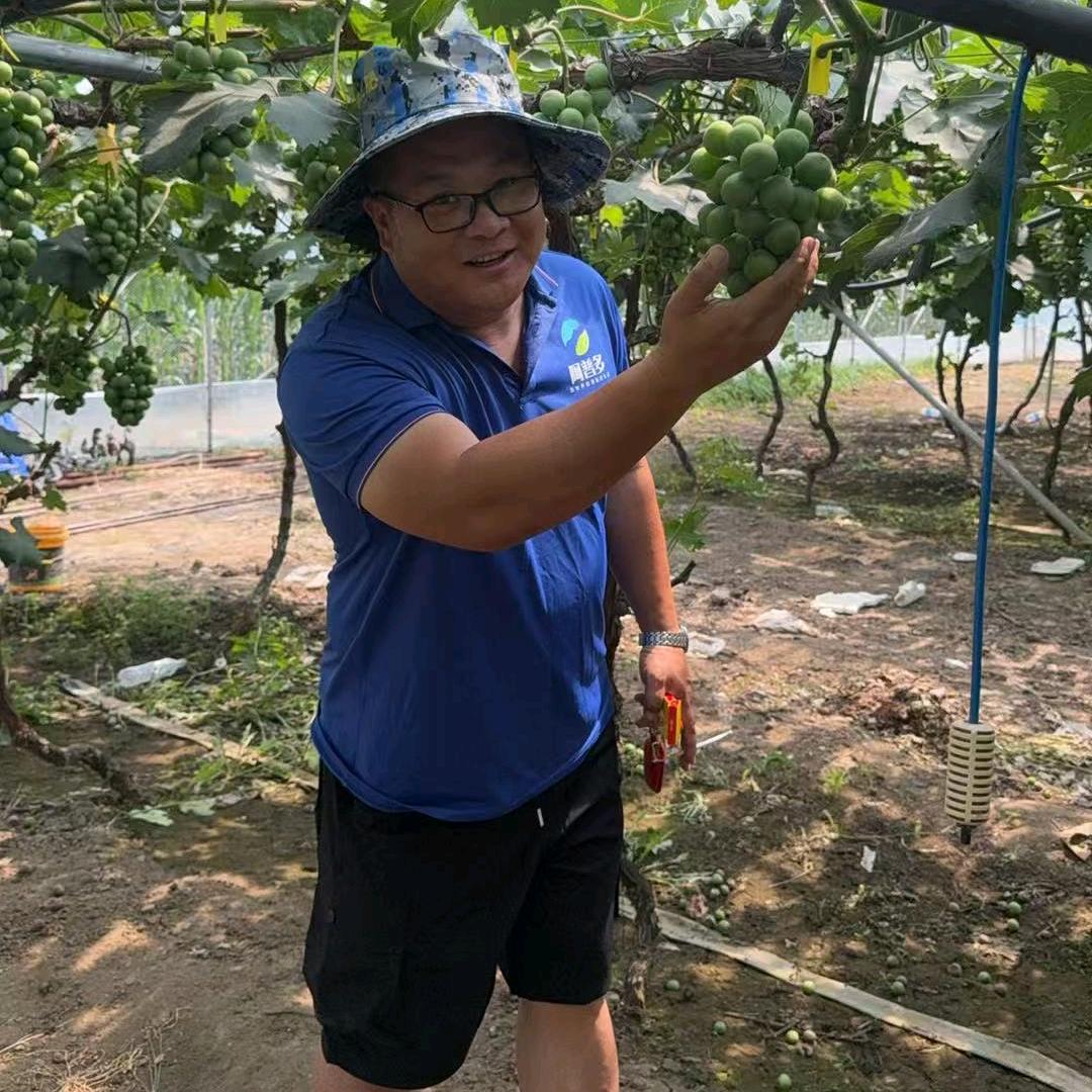 阿普多邱老师说蔬菜