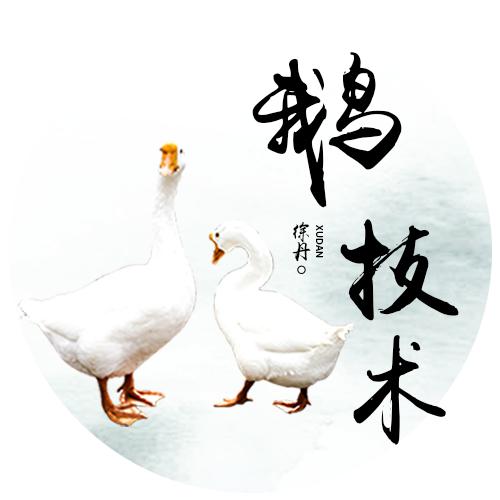 鹅财神