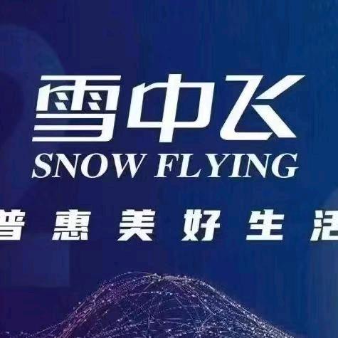 泰安奥莱雪中飞