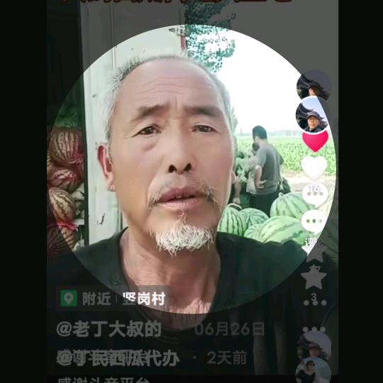 丁民西瓜代办。