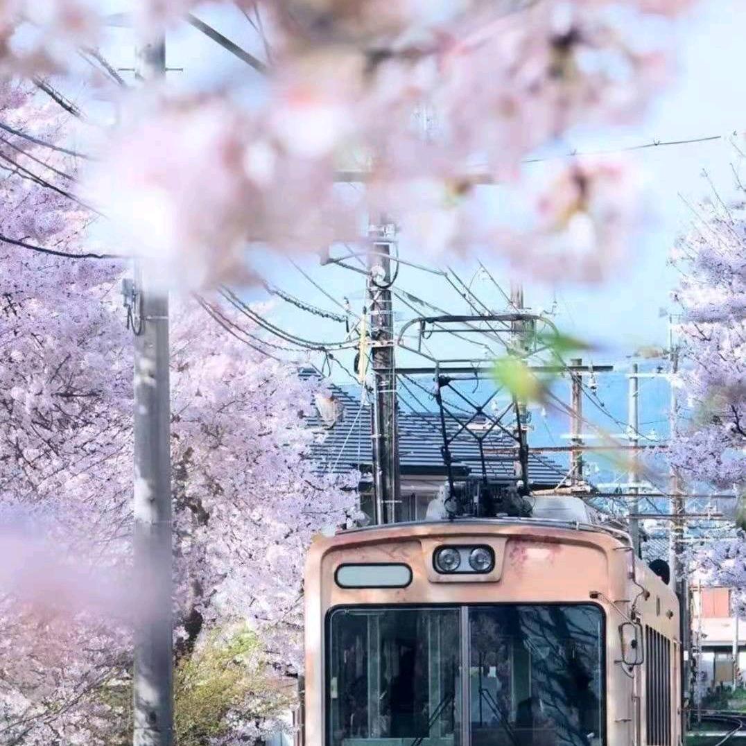 洛洛
