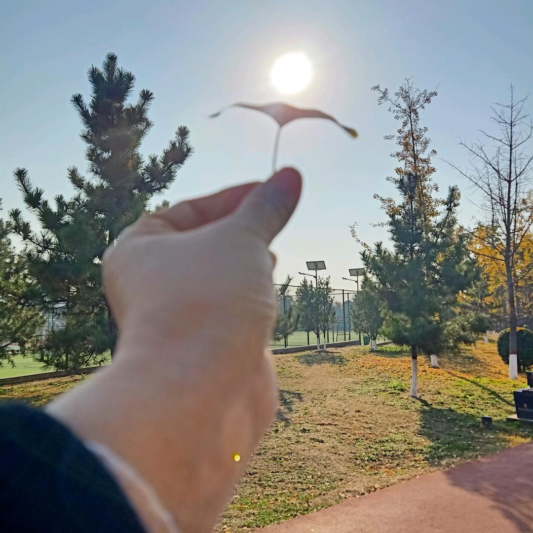 高新教育赵老师