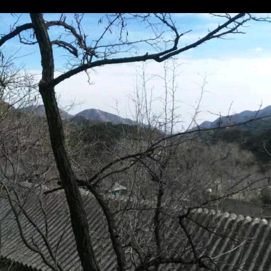心若静水！